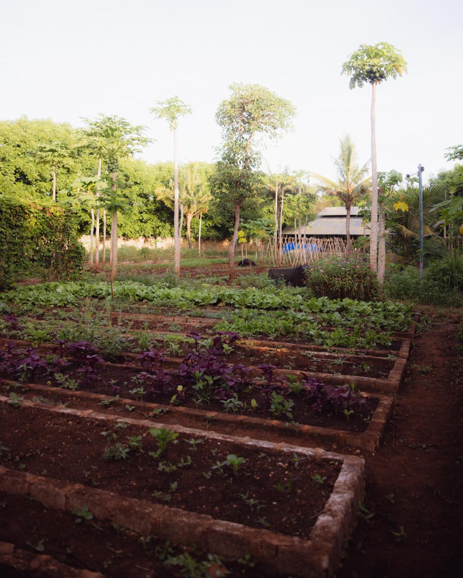 Maringi Sumba By The Sumba Hospitality Foundation Waikelo Екстериор снимка